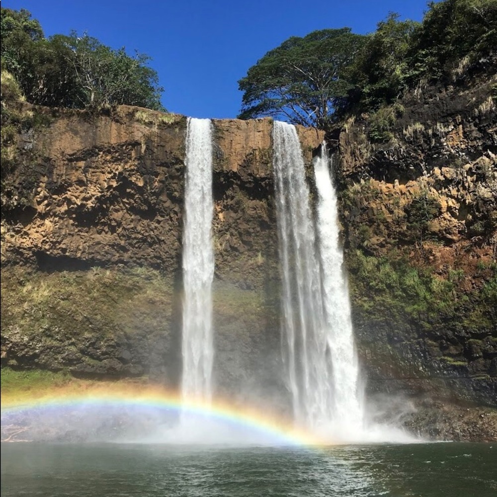 Meet your Posher, Lily